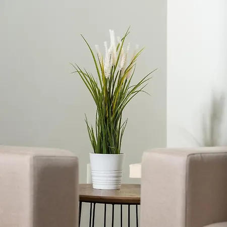 Appartement Olenia Luxury 4 Neos Marmaras