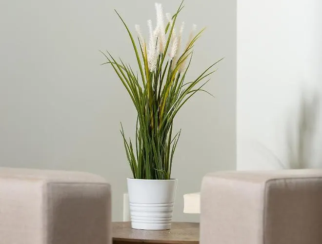 דירה Olenia Luxury נאוס מרמרס